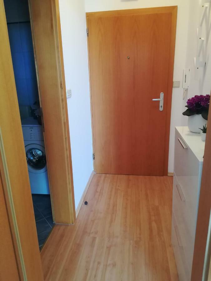 Cozy Apartmant With A Sea View In Orašac Zewnętrze zdjęcie